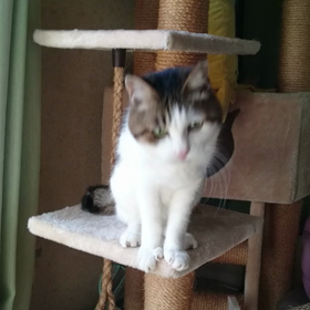 ラストdayの画像