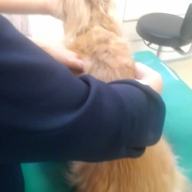 皮下補液の画像