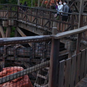 ３マウンテン３回乗ってお腹いっぱいの画像