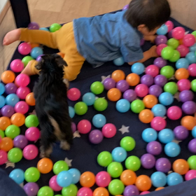 母の心配の画像