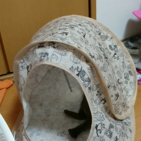 毎日元気をくれてます❗の画像