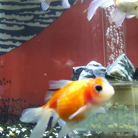 下からの眺め。の画像