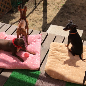 ミカコム発動の画像