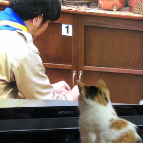 今ここで選ぶの画像