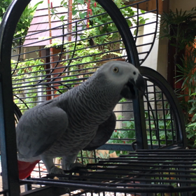 Burasari Phuketの最優秀スタッフ？！の画像