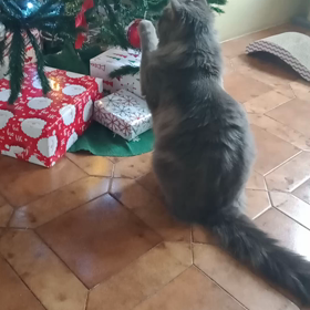 楽しいことの画像