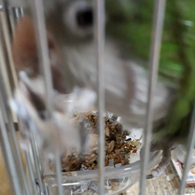 あきらめない♪の画像