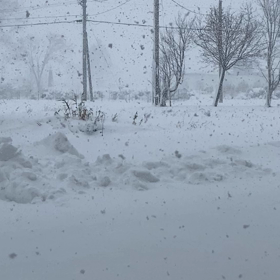 ★雪です★の画像