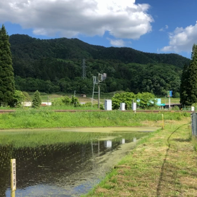 なめこカーブの画像