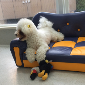 ♪プレイルーム動画♪①の画像