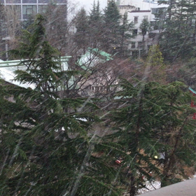 師走、バタバタ中の画像