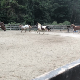 マグ、マリ、ローラ爆走の画像