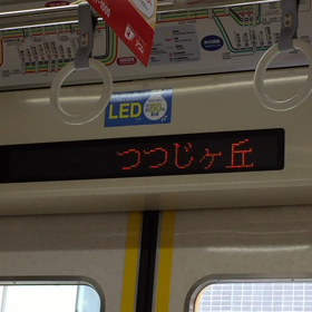 あ〜ぁ…の画像