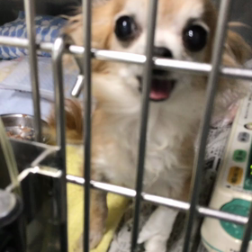 ♯うーん(￣~￣)の画像