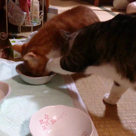 おててで一粒ずつの画像