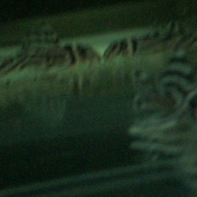 どこで産んだ？の画像