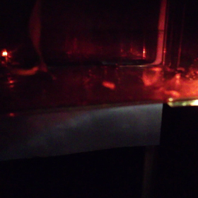 孵化から丸九日の画像