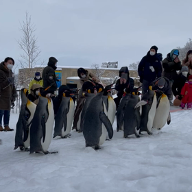 ふゆの動物園の画像