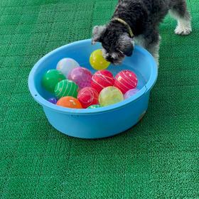 もれなく参加の画像