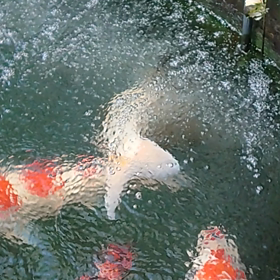 なにしてるの？の画像