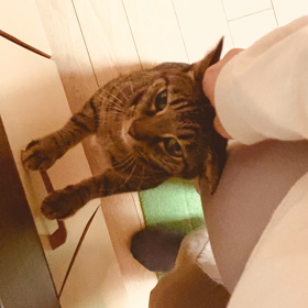 ありがとうの画像