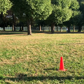 1000m 記録会 第１組②の画像