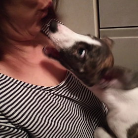 ペロペロしちゃうぞの画像