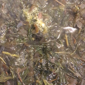 セルフ蒸し。足湯もう少し熱くてもいいかな。自分のカラダは自分でマモルよ換気、消毒も...の画像