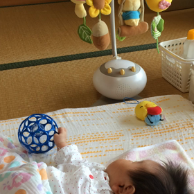 1m11d 早速寝かせてみるの画像