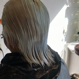 プラチナシルバーの画像