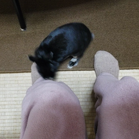 好きアピールの画像