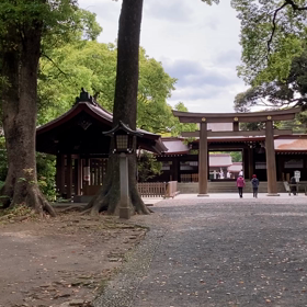 明治神宮 散歩 (2/4)の画像