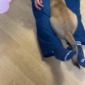 爆笑動画の画像