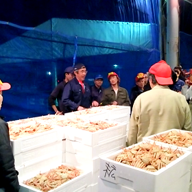 初セリ！の画像