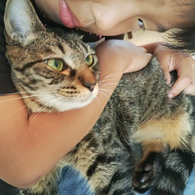 だらしないなりの画像