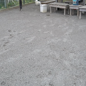 フリー百合　動画編の画像