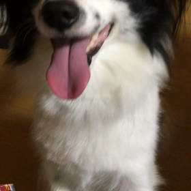 アイスクリームの画像