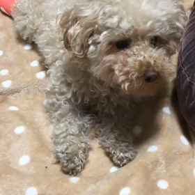 不思議だなぁの画像