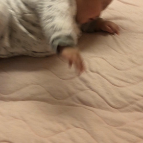 それは…。の画像