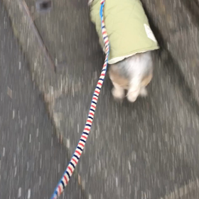 さむいね♡の画像