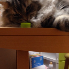 かわいい仕草の画像