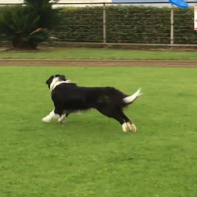 お節介なtweetでごめんなさい  (Twitter投稿より)の画像