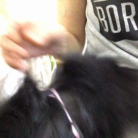 今日から仕事始まりましたの画像