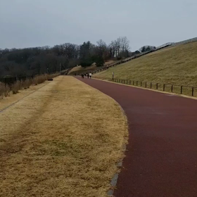 １組目 流し②の画像