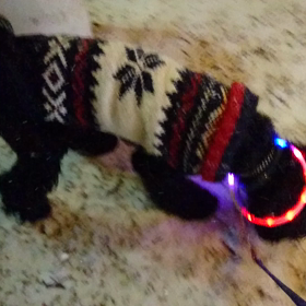 はじめての雪遊び♪の画像