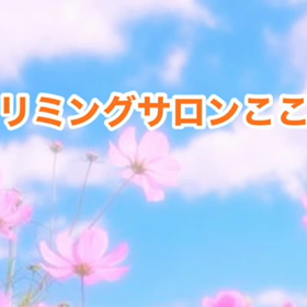 10月　〜スライドショー〜の画像