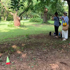 400mインターバル③の画像