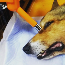 イライラの画像