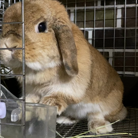 おいしい顔ってどんな顔の画像