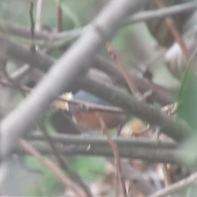 すぎぴたんの事件簿　シーズン２　４８話の画像